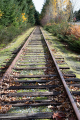 Fototapeta premium disused railway line through forest 