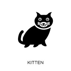kitten icon. kitten symbol design from Animals collection.