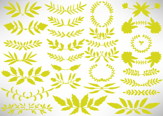 Floral Set of black hand drawn grunge floral elements, tree branch, bush, plant, leaves, flowers, branches petals isolated on white. Collection of flourish elements for design. Vector illustration.