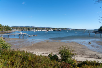 harbor low tide