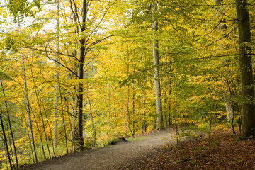 autumn in a park north of Copenhagen