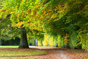 Fototapeta na wymiar autumn in a park north of Copenhagen
