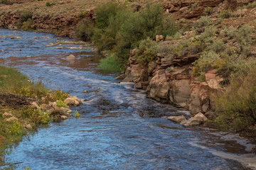 Naklejka na ściany i meble san miguel river colorado dirty water enviroment mesas and mountains