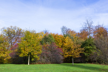 autumn in a park north of Copenhagen