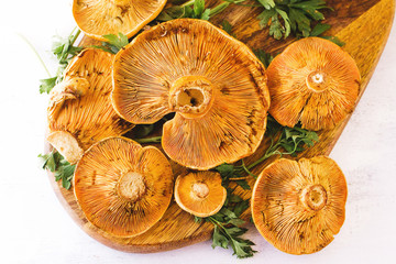 robellons mushrooms or rovellons buds in color yellow on a white background