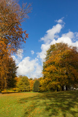 Fototapeta premium autumn in a park north of Copenhagen