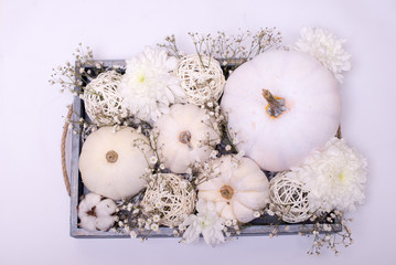 bouquet of white pumpkins with chrysanthemum and gypsophila in a wooden box on a white background