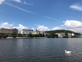Fototapeta premium Vltava