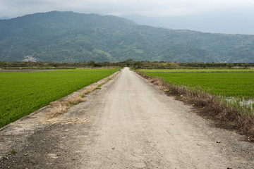 rural landscape