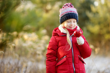 Adorable little girl eating red apple covered with sugar icing on beautiful sunny Christmas day.