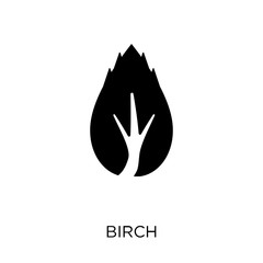 Birch icon. Birch symbol design from Nature collection.