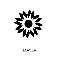 Fototapeta na wymiar Flower icon. Flower symbol design from Nature collection.