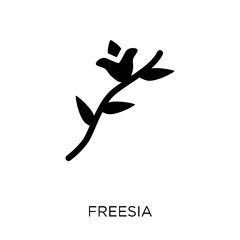 Freesia icon. Freesia symbol design from Nature collection.