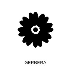 Gerbera icon. Gerbera symbol design from Nature collection.