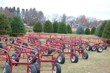 Christmas tree farm wagons ready to go!