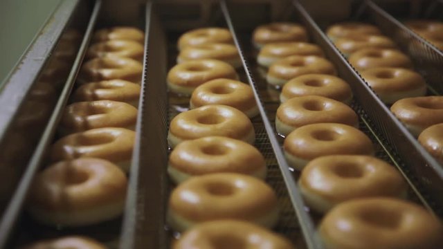 Frying donuts close-up. Scene. Donuts are baked at the bakery factory