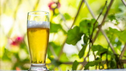 Glass of cold beer on the window and nature background. Beer in the window. 