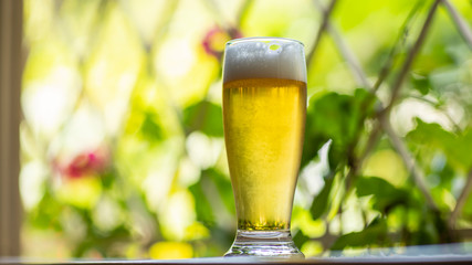 Glass of cold beer on the window and nature background. Beer in the window. 