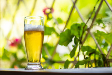 Glass of cold beer on the window and nature background. Beer in the window. 
