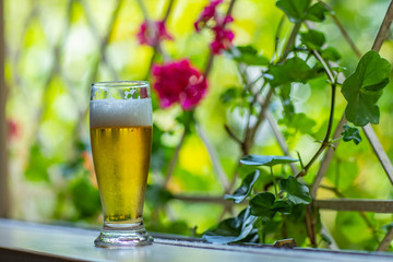 Glass of cold beer on the window and nature background. Beer in the window. 