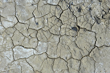 Dry soil cracking