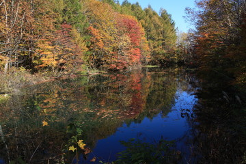松川温泉の沼地