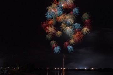 パステル千輪菊二度咲