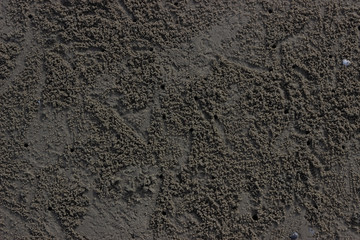 Background of black wet sand.