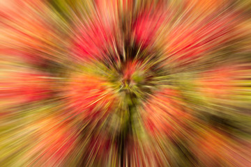 Abstract background from nature using motion blur or lens blur or radial or zoom blur 