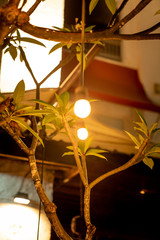 A small light bulb for decoration in the house