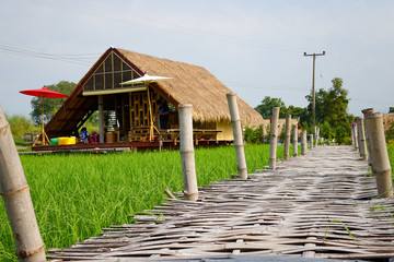 Bamboo bridge in Thailand
