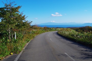 Fototapeta premium 海を遠くに望む道