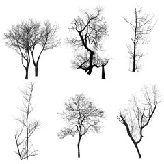 Silhouette of tree set isolated on white background