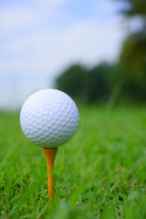 Golf ball and tee on golf green course background