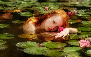 zarte junge sexy rothaarige Frau Ophelia schwimmt spielt sinnlich sensibel verführerisch im Wasser, See, Teich, Sumpf mit rosa Seerosen.