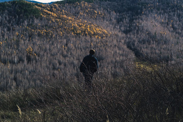 Autumn mountain forest landscape