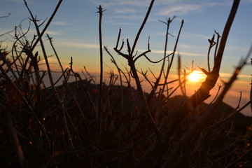 Sunrise from the top of a 12,000 ft peak