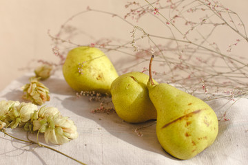 Pears, hops and flowers lie on linen fabric. The concept of comfort, warmth and home. Autumn or fall abstract warm background. Flat lay, top view, copy space.