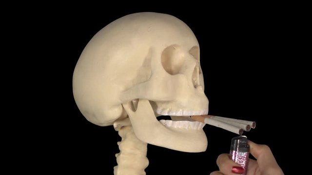 Woman hand burning cigarette on the human skull with a matches in the studio. Shot in 4K resolution with dark background