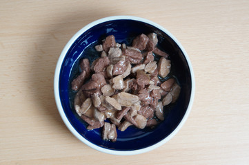 moist or wet cat food in feeding bowl or dish