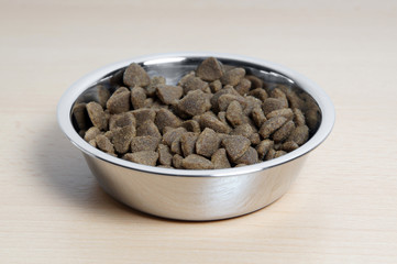 dry cat food or kibble in fedding bowl