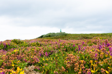 Cap Fréhel