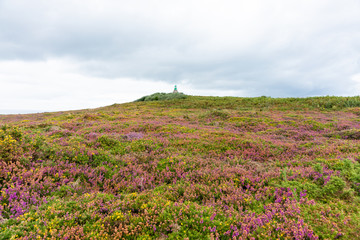 Cap Fréhel