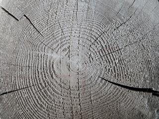 Fototapeta premium Wooden texture background, grunge style. Nature grey and brown surface.