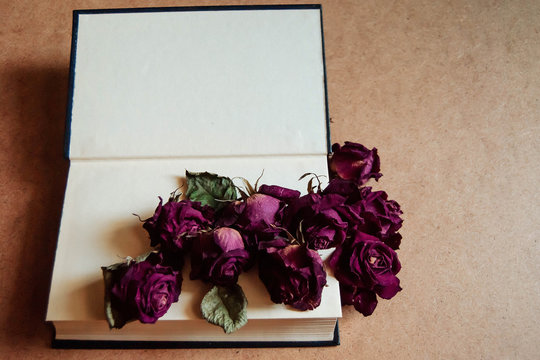  dried roses with a book on a brown wooden background