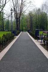 road in the park