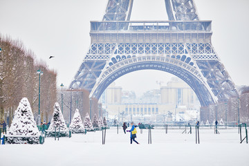 Scenic view to the Eiffel tower on a day with heavy snow - obrazy, fototapety, plakaty