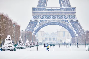 Deurstickers Scenic view to the Eiffel tower on a day with heavy snow © Ekaterina Pokrovsky