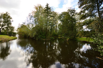 Drzewa nad spokojnym jeziorem w późne pogodne popołudnie. 