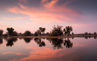 Obraz premium sun rise at al Qudra nature reserve near Dubai